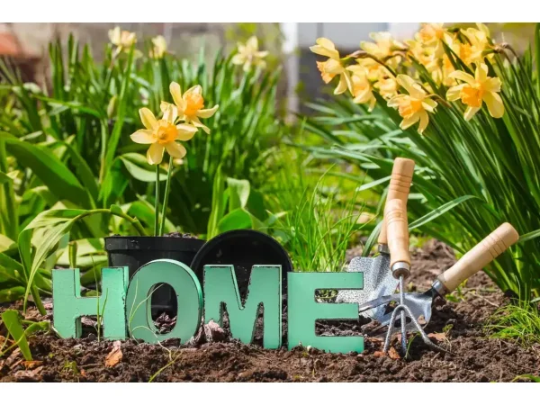 Relooking de jardin au printemps : transformez votre espace extérieur avec style et simplicité - Idées et décoration pour un relooking de jardin au printemps | bawowna.fr