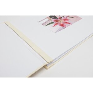 Album à vis Laddi 38x30 cm buttermilk pages blanches