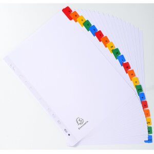 Intercalaires imprimés carton blanc 160g onglets renforcés couleur 20 pièces A4 blanc