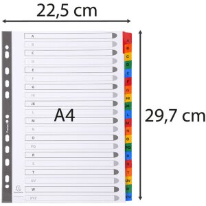 Intercalaires imprimés carton blanc 160g onglets renforcés couleur 20 pièces A4 blanc