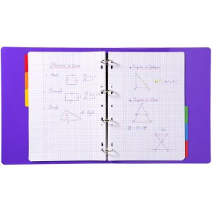 Répertoire DIN A4 avec 6 onglets