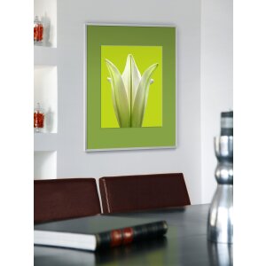 Cadre alu Pixel Nielsen Cadre photo