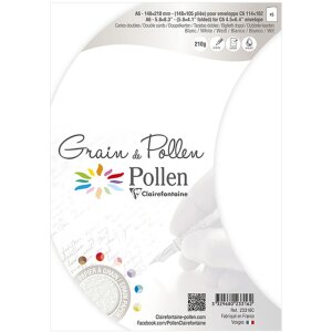 Paquet de 5 cartes doubles Pollen 105x148 mm coquelicot blanc