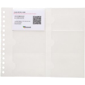 Paquet de 10 inserts pour Exacard 75134E