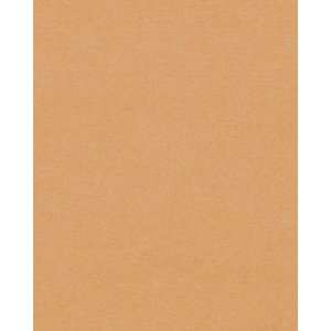 HNFD 20 intercalaires Noce pour boîtes à photos 10x15 cm