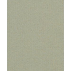 HNFD 20 intercalaires pour boîtes à photos Pistacchio 10x15 cm