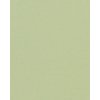 HNFD 20 intercalaires Verde Alga pour boîtes à photos 10x15 cm