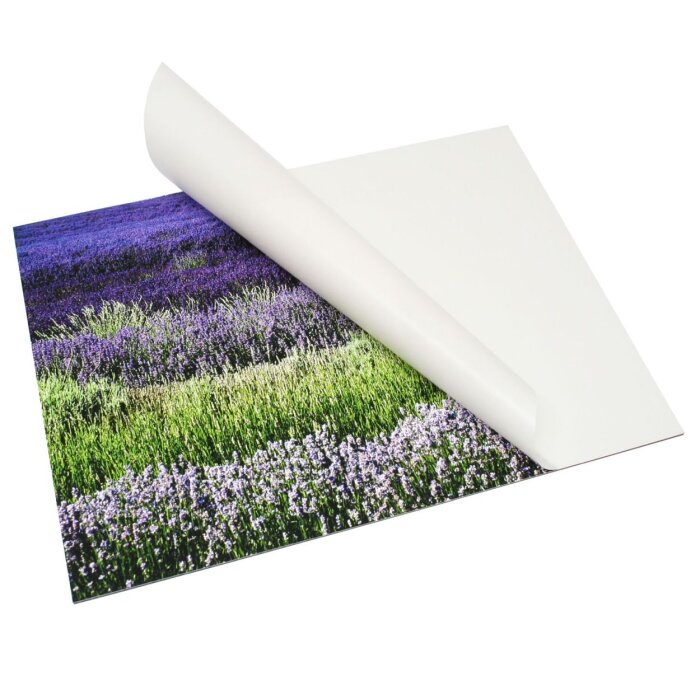 Deknudt S43SD DKbond autocollant 60x80 cm