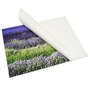 Deknudt S43SD DKbond autocollant 60x80 cm