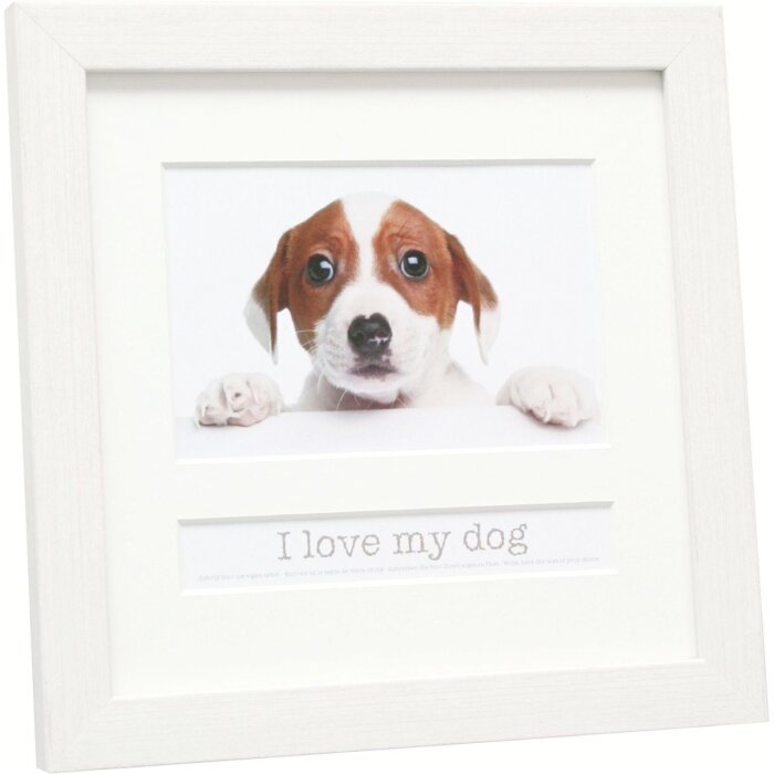 Cadre animalier 10x15 cm blanc chien