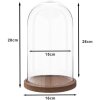 Clayre & Eef 6GL1946 Cloche en verre 28 cm bois verre rond