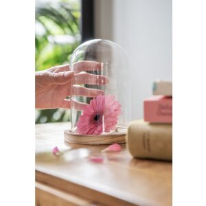 Cloche en verre Clayre & Eef 6GL2168 - Ø 12x17...