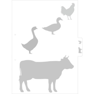 Herma classeur de recettes A4 - Star of The Kitchen