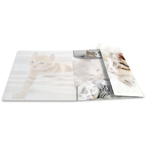 Herma Chemise Glossy Animaux A4 PP Chats