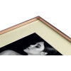 Cadre alu Angleterre 30x30 cm cuivre
