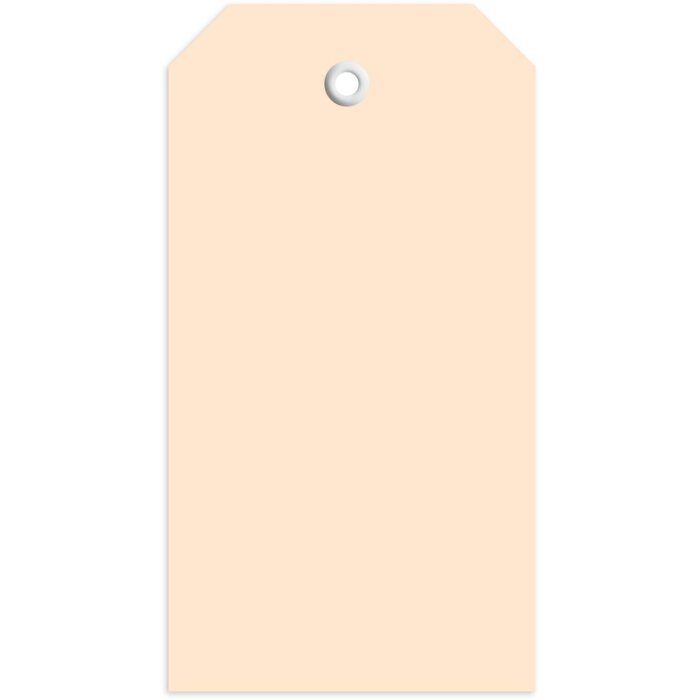 Etiquettes à suspendre 60x113 mm avec oeillet plastique 1000 pcs.