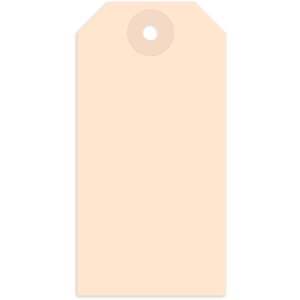 Etiquettes à suspendre 48x95 mm avec oeillet en...