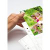 Pochettes transparentes pour photos 100 x 150 mm de haut, blanches 250 pochettes