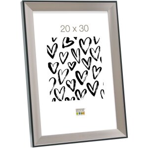 Cadre plastique S45FD2 argent 18x24 cm verre antireflet