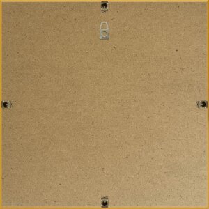 Cadre plastique Henzo Napoli 40x40 cm or