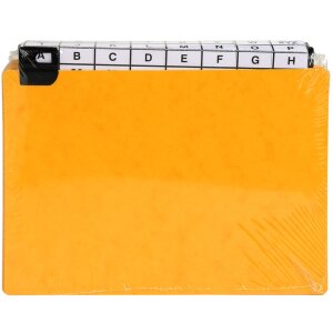 Exacompta 13758E 24 intercalaires avec onglets à fenêtre 148x210 mm