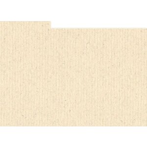 HNFD 10 Cartes intercalaires Fotobox 15x20 cm - Avorio di...