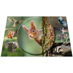 Sous-main HERMA 550 x 350 mm, animaux de la forêt