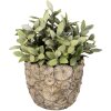 Clayre & Eef 6TE0359M Pot de fleurs pour intérieur Gris Ø 14x13 cm