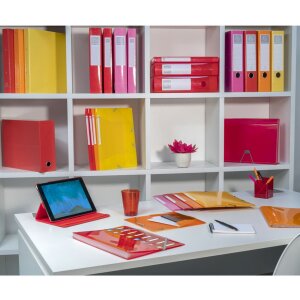 Exacompta Transferbox en carton, dos 90mm, 25x33cm pour DIN A4 - Iderama
