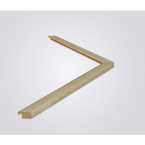 Walther cadre en bois Oviedo 60x60 cm champagne verre antireflet