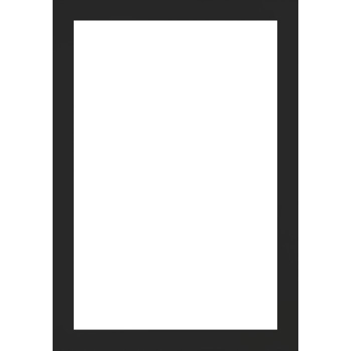 Walther cadre en bois Tarassa 50x75 cm noir verre antireflet