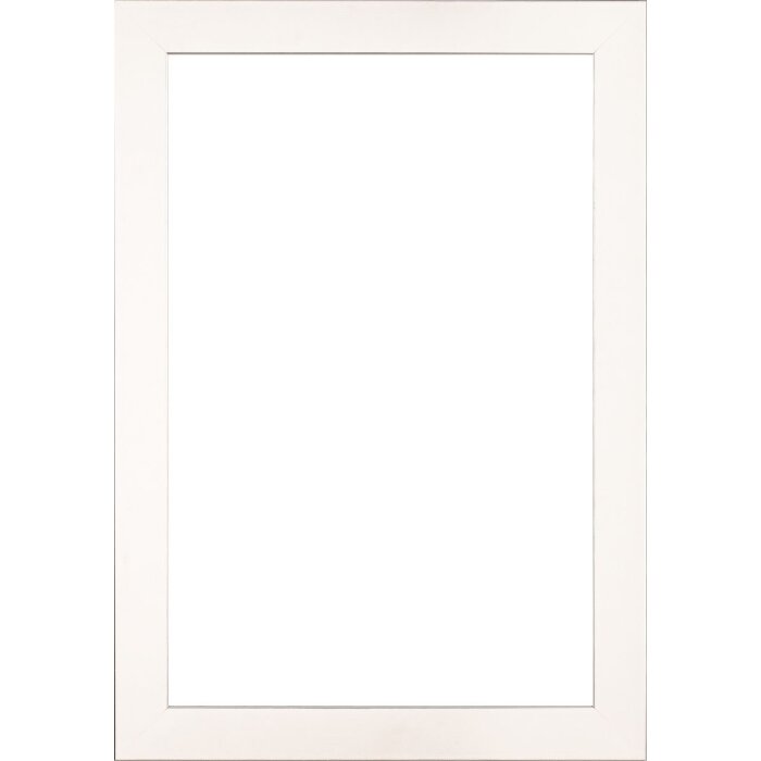 Walther cadre en bois Bilbao avec bord argenté 50x100 cm blanc verre antireflet