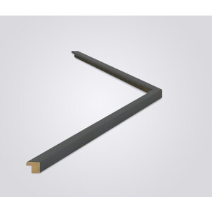 Walther cadre en bois Valencia verre clair anthracite 27x48 cm