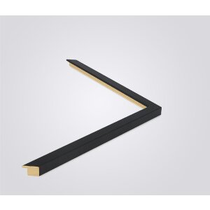 Walther cadre en bois Barcelona 50x70 cm noir verre clair