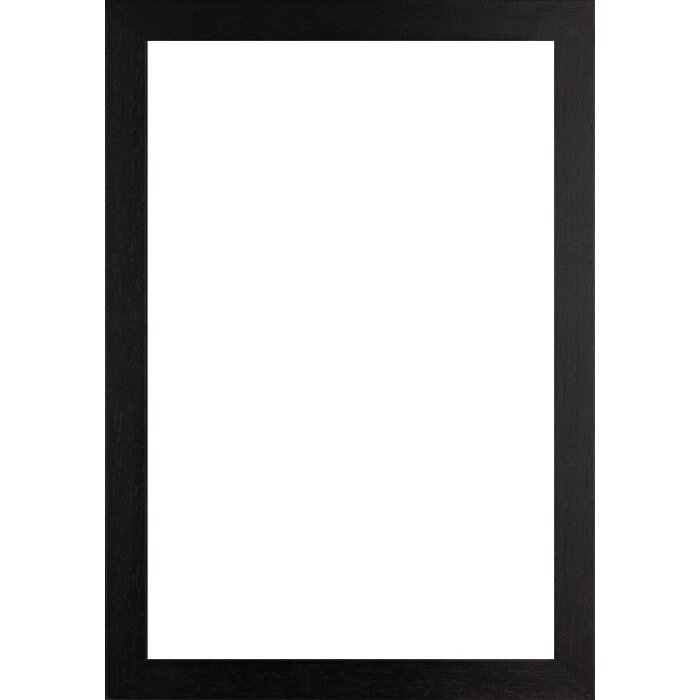 Cadre photo Walther Madrid 25x50 cm noir verre clair