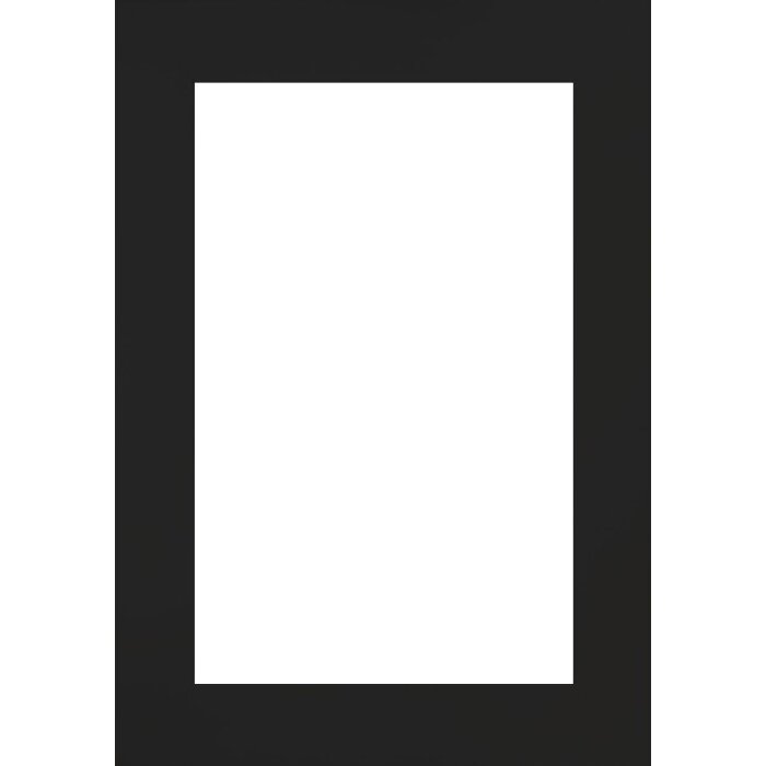 Cadre photo Walther Getafe noir 50x65 cm verre clair