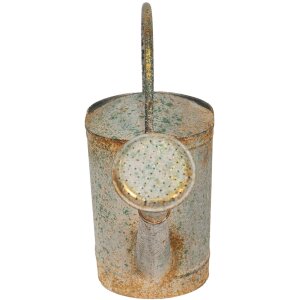 Clayre & Eef 6Y4993 Arrosoir décoratif Gris 50x16x33 cm