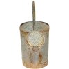 Clayre & Eef 6Y4993 Arrosoir décoratif Gris 50x16x33 cm