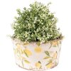 Clayre & Eef 6CE1533L Décoration Pot de fleurs Ø 19x10 cm Jaune
