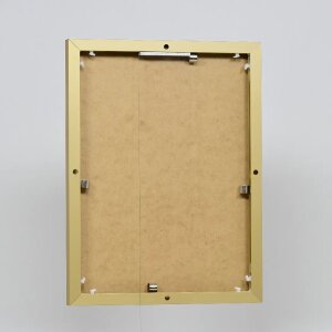 Effect Cadre photo en aluminium Quadro 25x60 cm Or Verre clair Suspension Haut Transversal