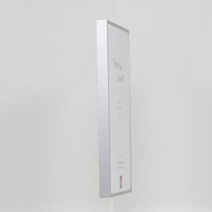 Effect Cadre photo en aluminium Quadro 50x100 cm Argent Verre clair