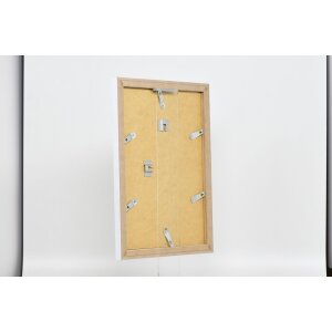 Effect cadre photo 2310 blanc 25x50 cm verre antireflet