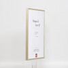 Cadre photo aluminium S2 effet champagne 25x80 cm