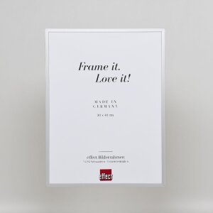 Cadre photo aluminium série 2 vitrage musée argent 35x100 cm