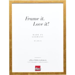 Cadre photo en bois Profil 51 antikgold 18x24 cm verre...