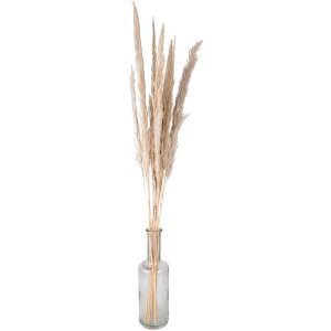 Clayre & Eef 5DF0034 Fleurs séchées 100 cm (10) Beige