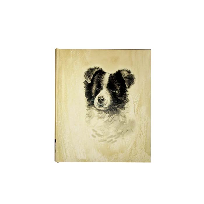 Motivalbum Hasso - Album photo chien