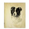 Motivalbum Hasso - Album photo chien