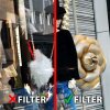 Marumi Super DHG Circ. Filtre Pola 52 mm pour la photographie dextérieur