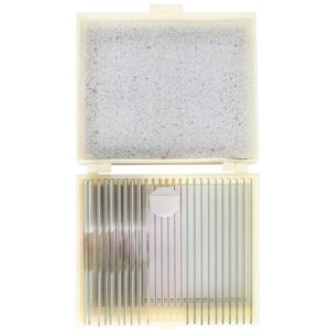 Konus Preparate Set Cell Reproduction Development 10 pcs.